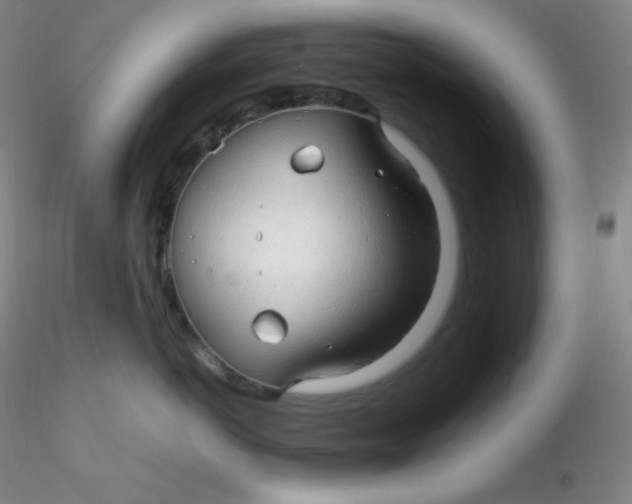 X0000116310766200912211922