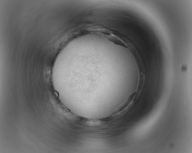 X0000116310767200912211922