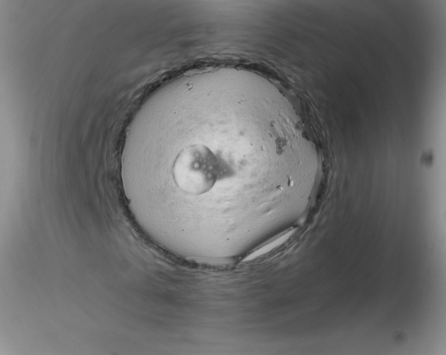 X0000116310769200912211922