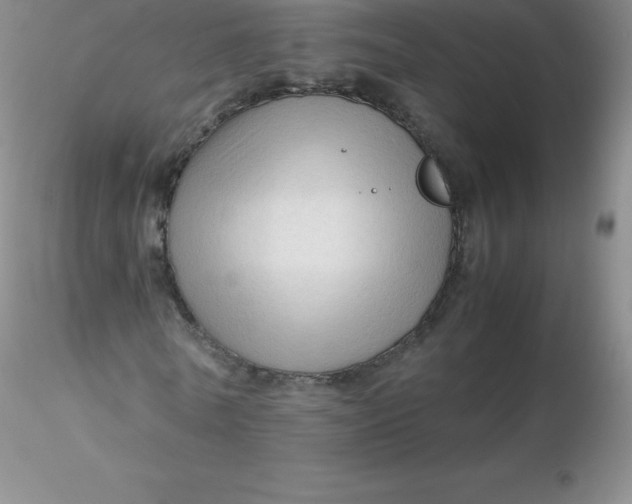 X0000116310770200912211922