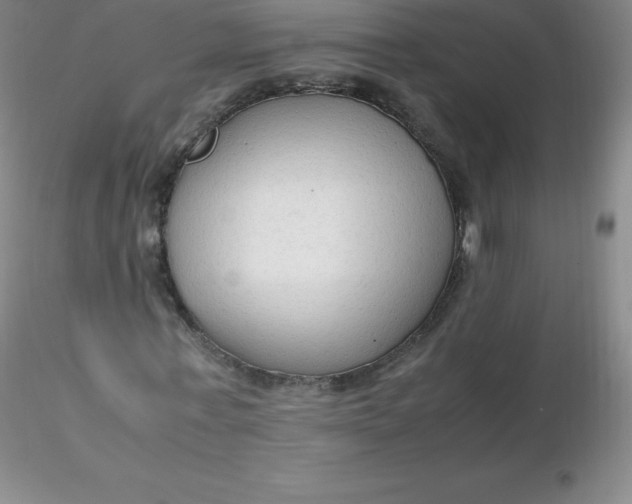 X0000116310771200912211922