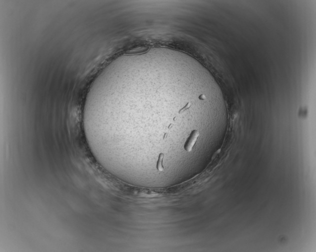 X0000116310772200912211921