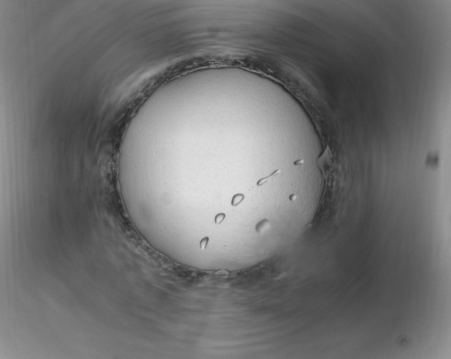 X0000116310773200912211921