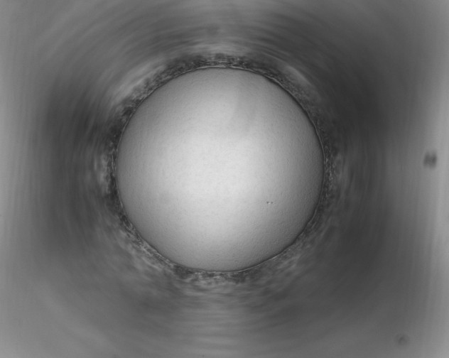 X0000116310774200912211921