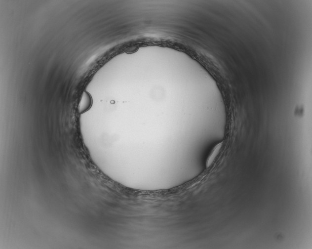 X0000116310776200912211921