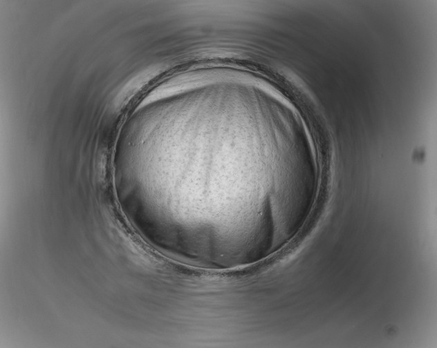 X0000116310777200912211921