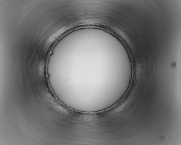 X0000116310778200912211921