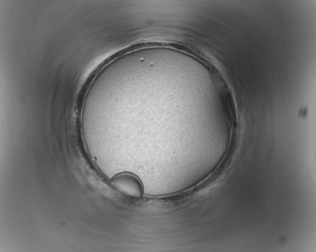 X0000116310779200912211921