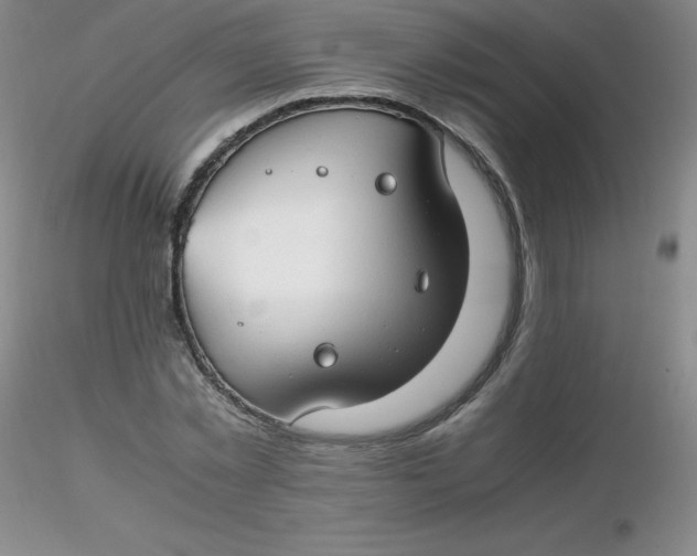 X0000116310781200912211921