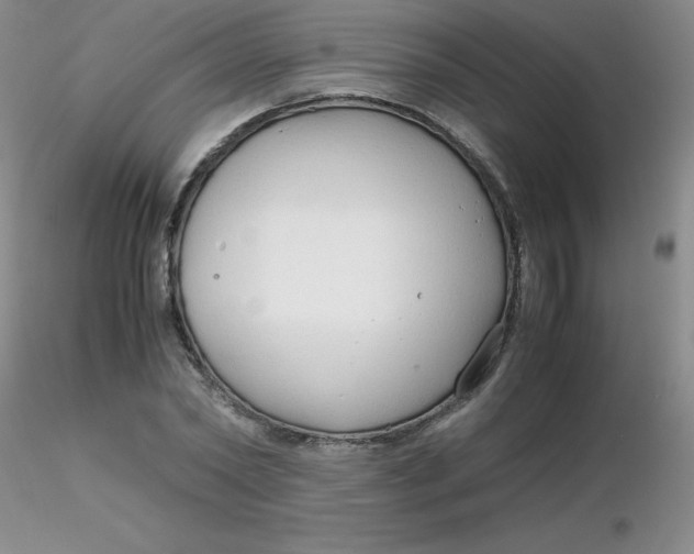 X0000116310782200912211921