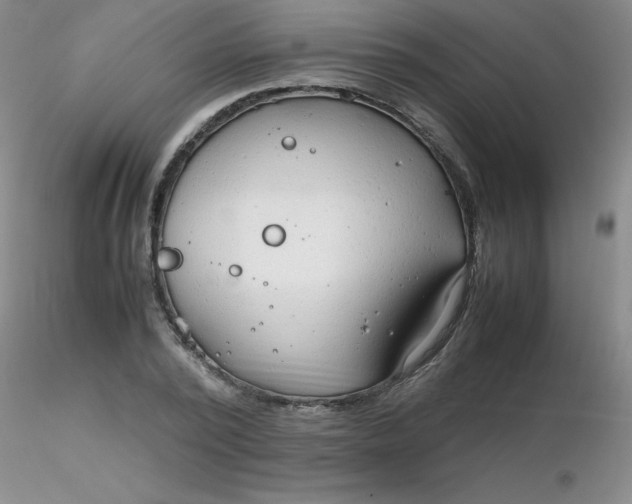 X0000116310784200912211921