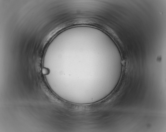 X0000116310786200912211921