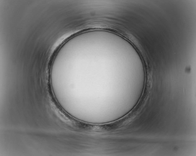 X0000116310787200912211921