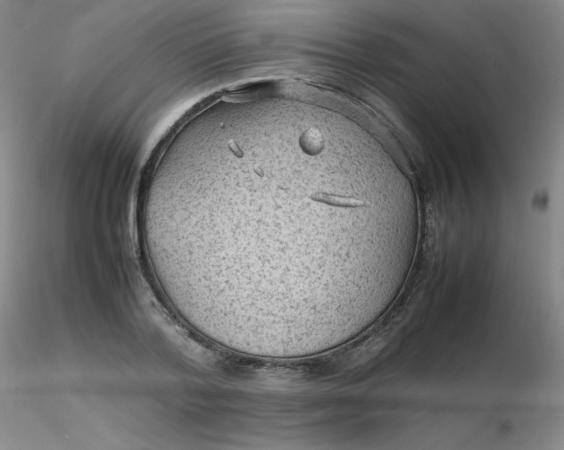 X0000116310788200912211921