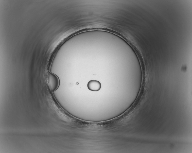 X0000116310789200912211921