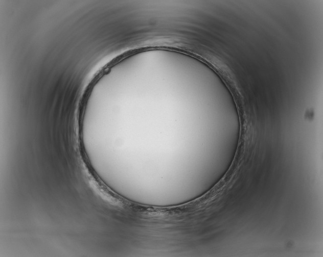 X0000116310792200912211921