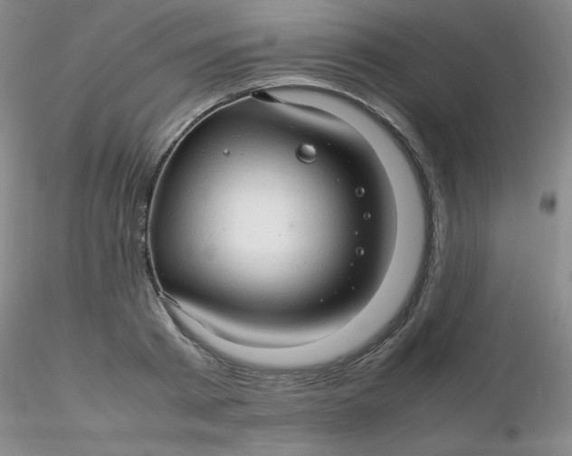 X0000116310793200912211921