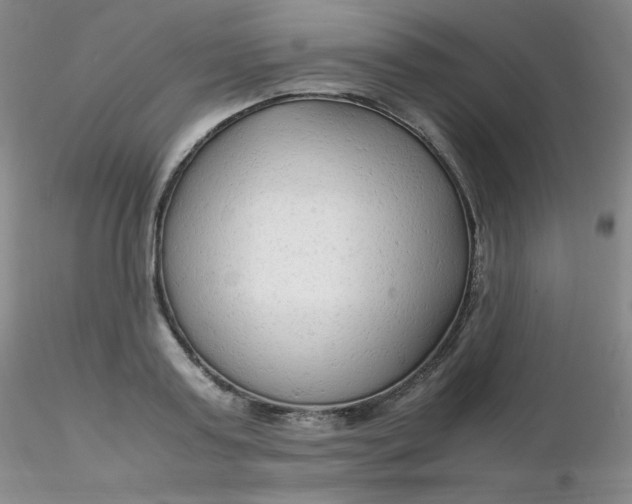 X0000116310795200912211921