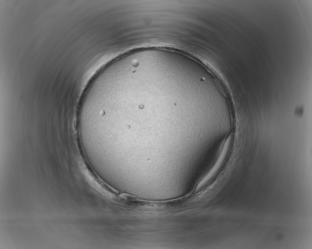 X0000116310797200912211921