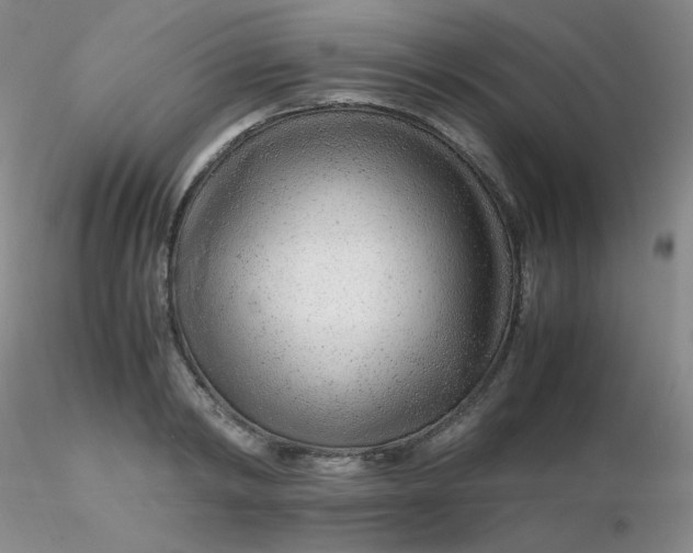 X0000116310798200912211921