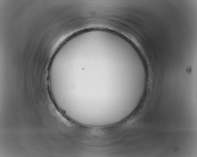 X0000116310799200912211921