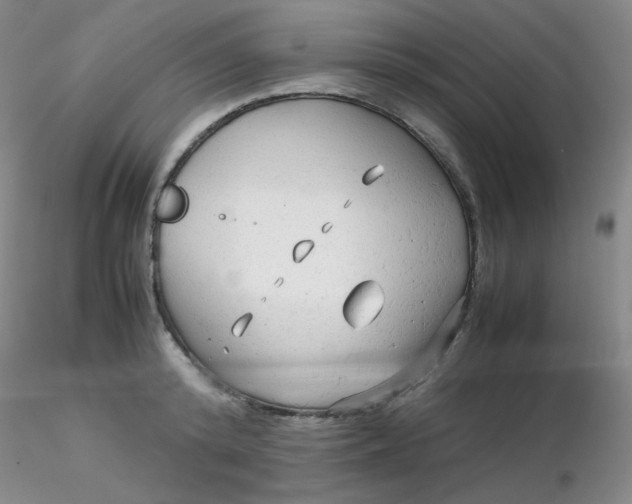 X0000116310800200912211921