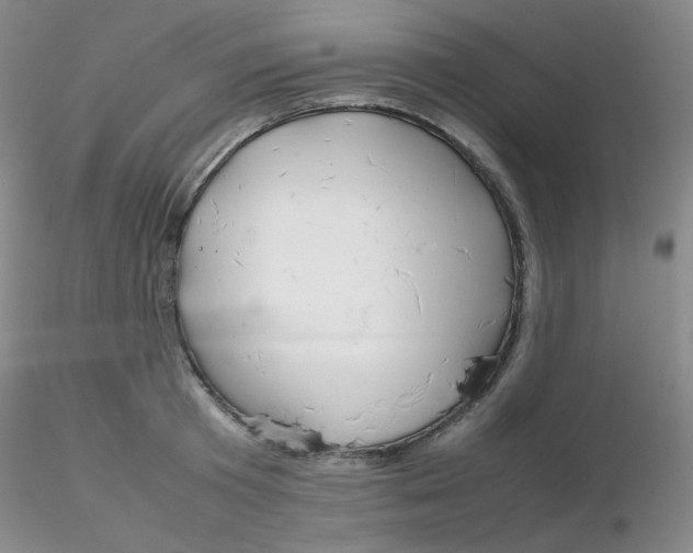 X0000116310801200912211921