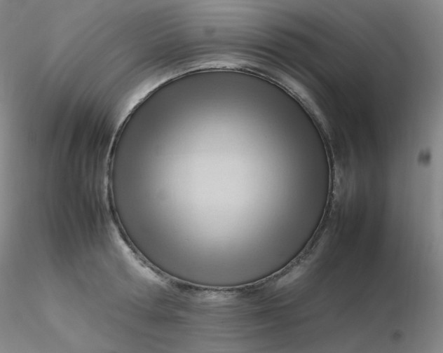 X0000116310802200912211921