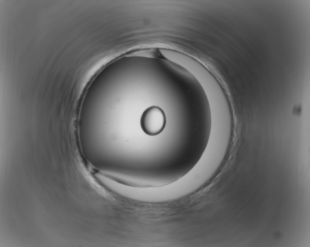 X0000116310805200912211921