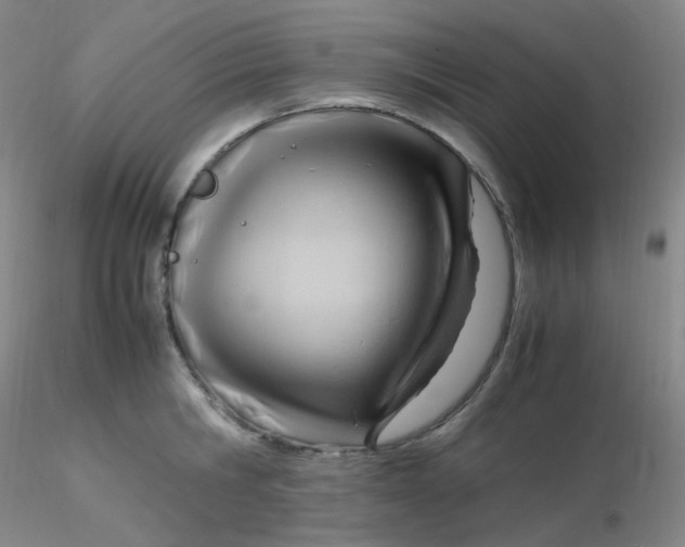 X0000116310806200912211921