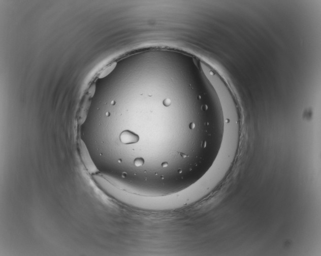 X0000116310807200912211921