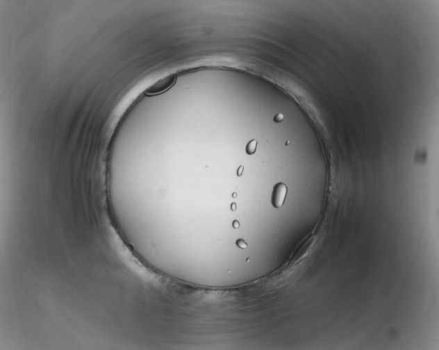 X0000116310808200912211921