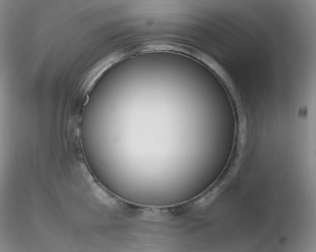 X0000116310809200912211921