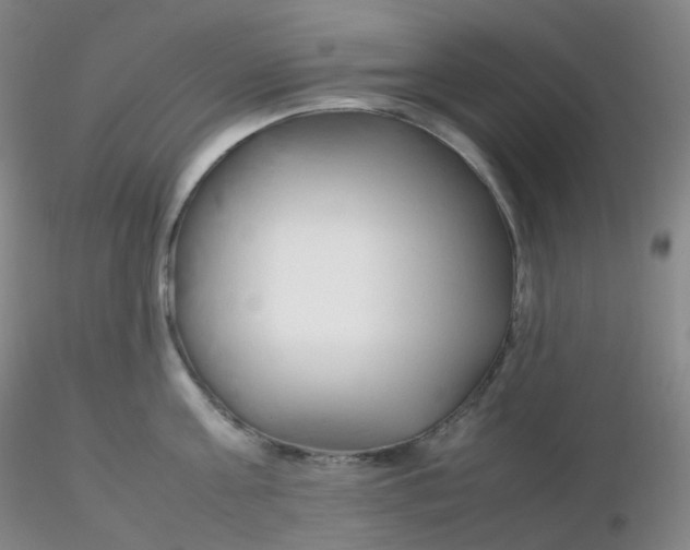 X0000116310811200912211921