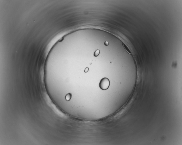 X0000116310812200912211921