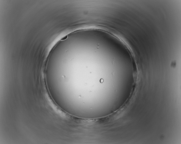 X0000116310813200912211921