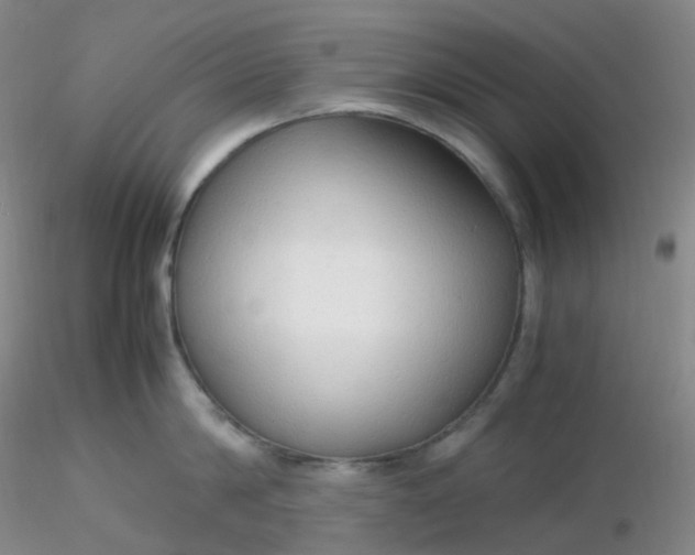 X0000116310814200912211921