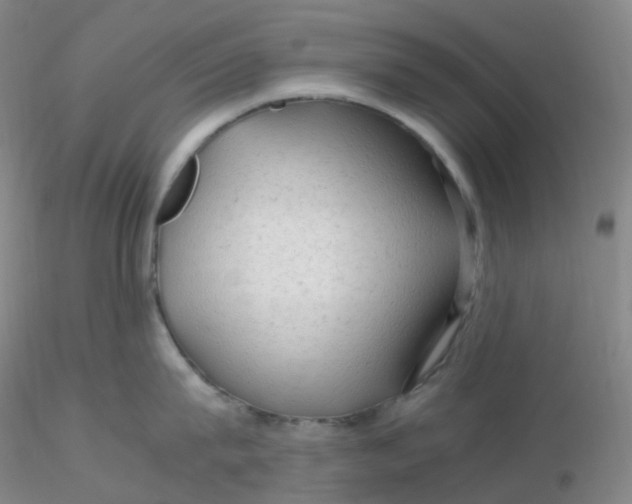 X0000116310815200912211921