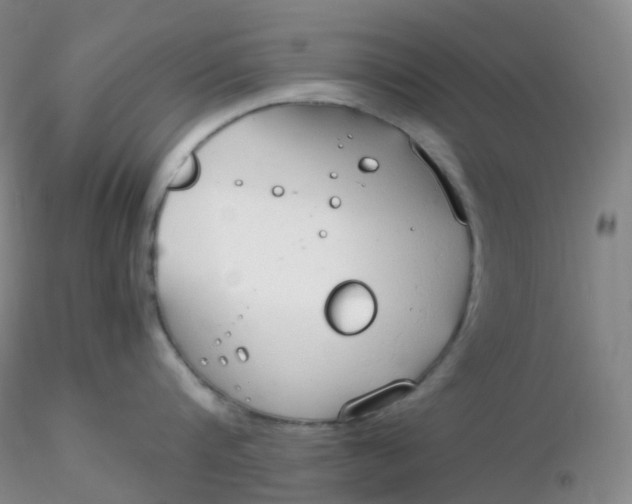 X0000116310816200912211921