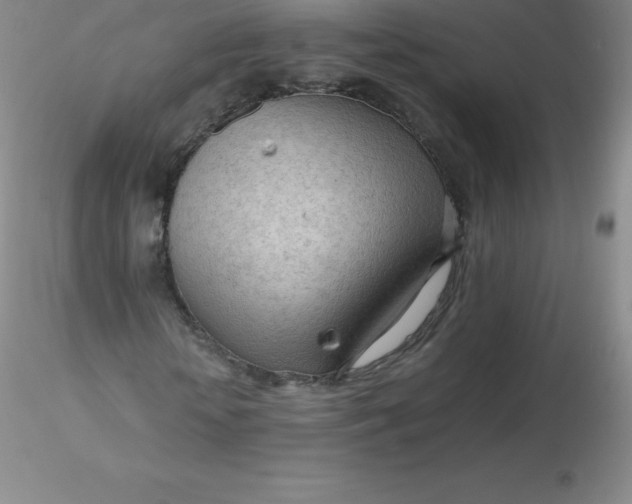 X0000116310818200912211920