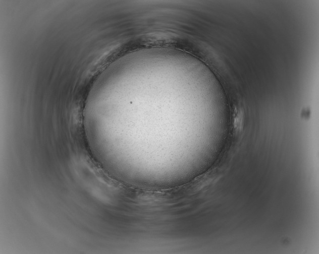 X0000116310819200912211920