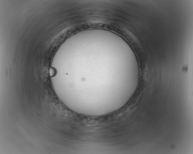 X0000116310821200912211920