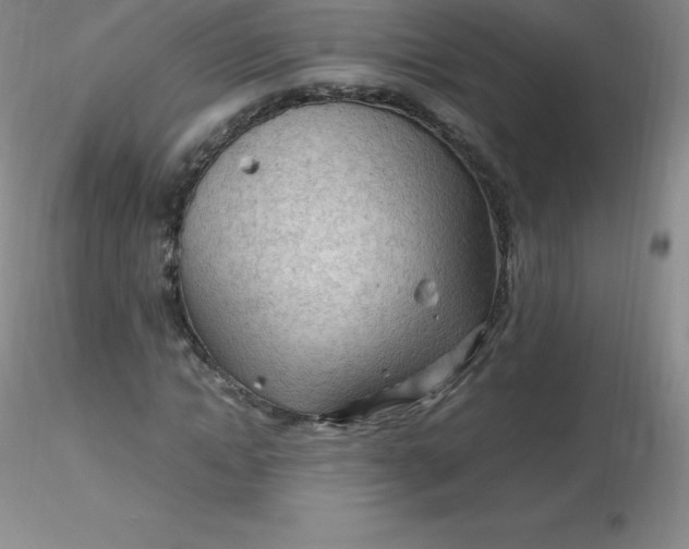 X0000116310822200912211920