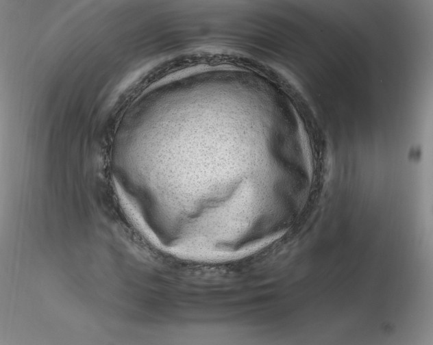 X0000116310823200912211920