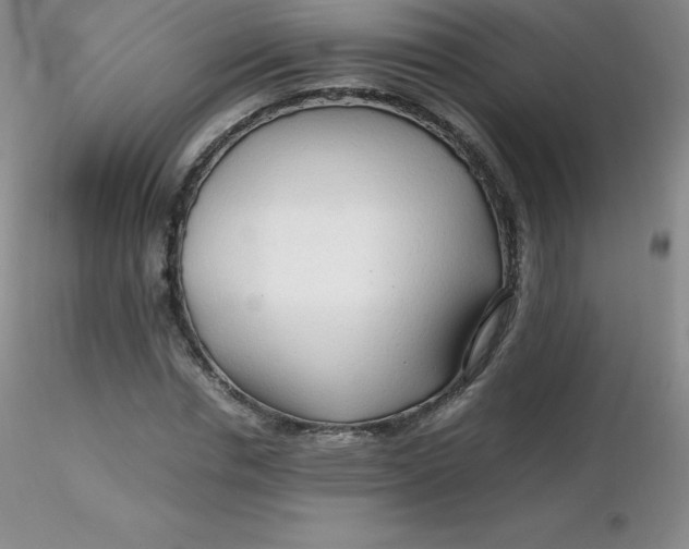 X0000116310826200912211920