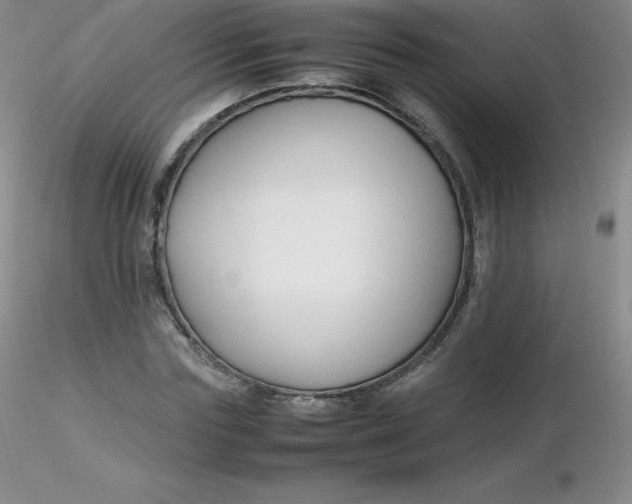 X0000116310827200912211920