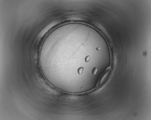 X0000116310829200912211920