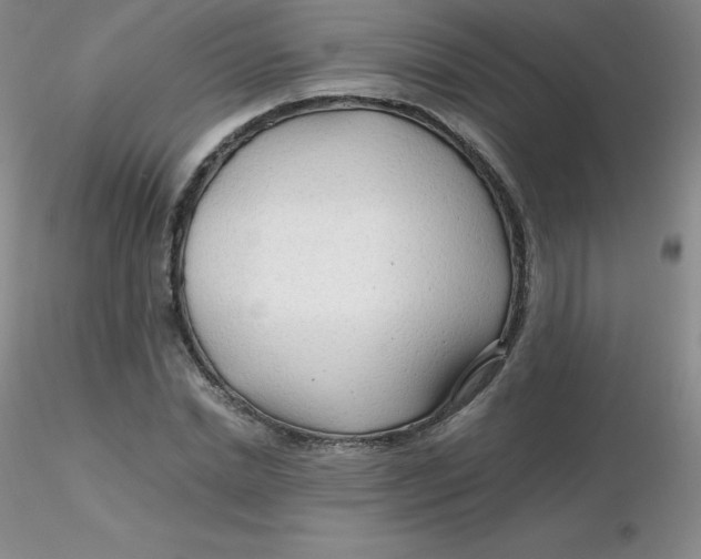 X0000116310830200912211920