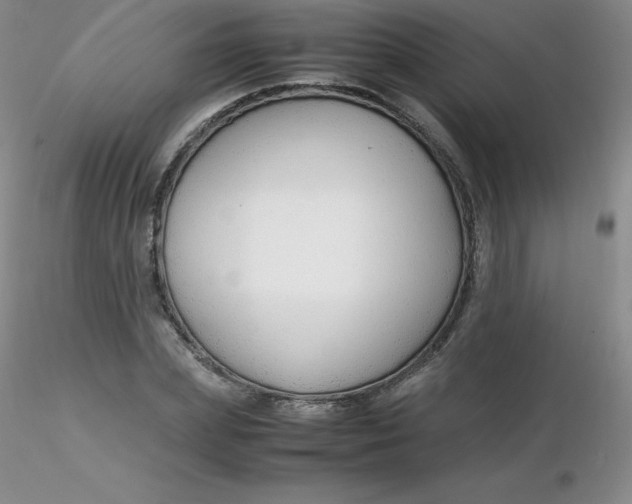 X0000116310831200912211920