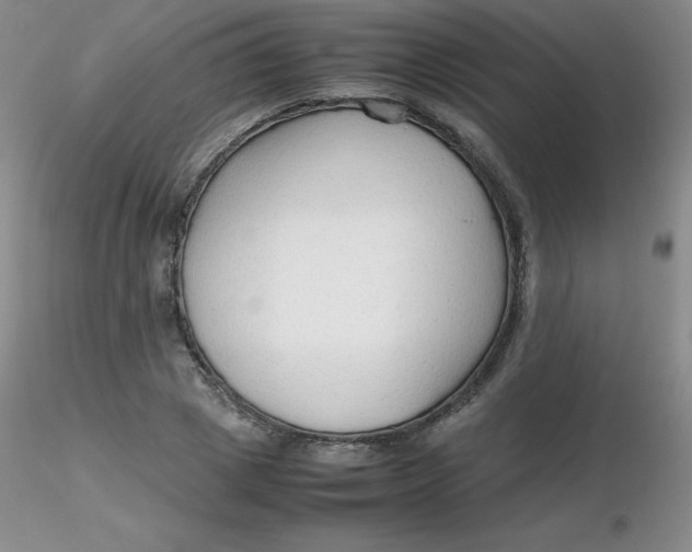 X0000116310833200912211920